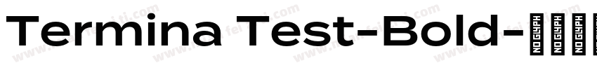 Termina Test-Bold字体转换